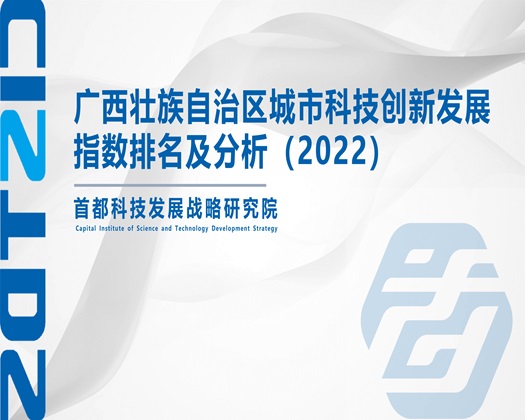 白虎美女被操【成果发布】广西壮族自治区城市科技创新发展指数排名及分析（2022）